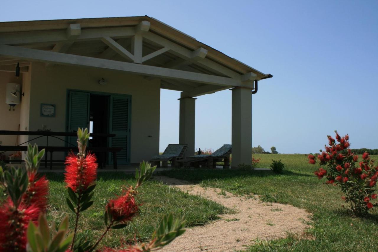 Agriturismo Podere 678 グロッセート エクステリア 写真